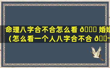 命理八字合不合怎么看 🍀 婚姻（怎么看一个人八字合不合 🐬 ）